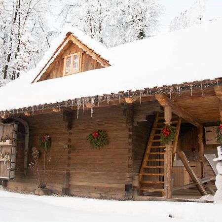Apartma Kasca Domžale Kültér fotó