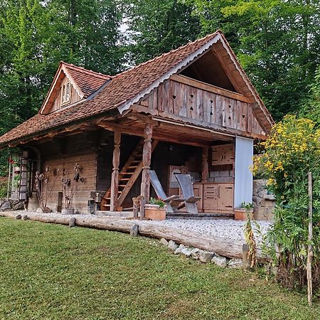 Apartma Kasca Domžale Kültér fotó