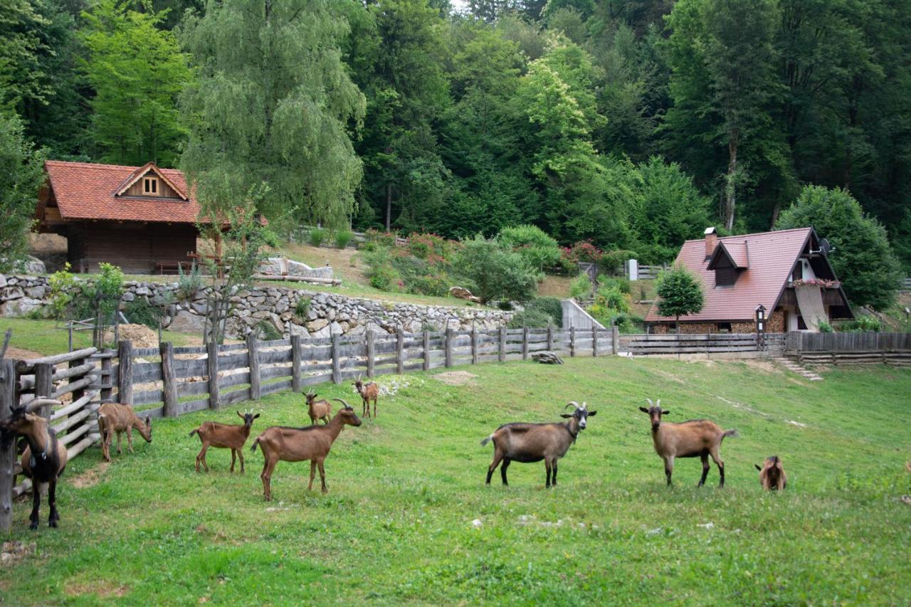 Apartma Kasca Domžale Kültér fotó